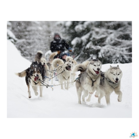 cocktail neige en Savoie Illustration Planet-aventures de cocktail neige en Savoie